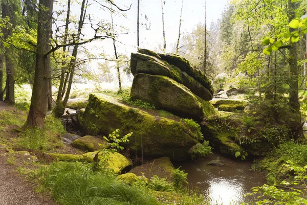 Op de hiking trail goldsteig, Duitsland — Stockfoto