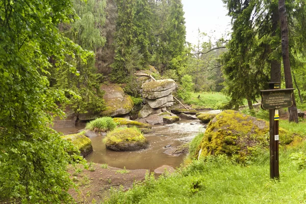 On the Hiking Trail Goldsteig, Alemanha — Fotografia de Stock