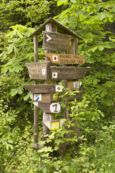 Üzerinde hiking trail goldsteig, Almanya — Stok fotoğraf