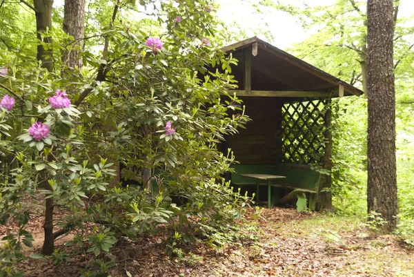 Na toulání trail goldsteig, Německo — Stock fotografie