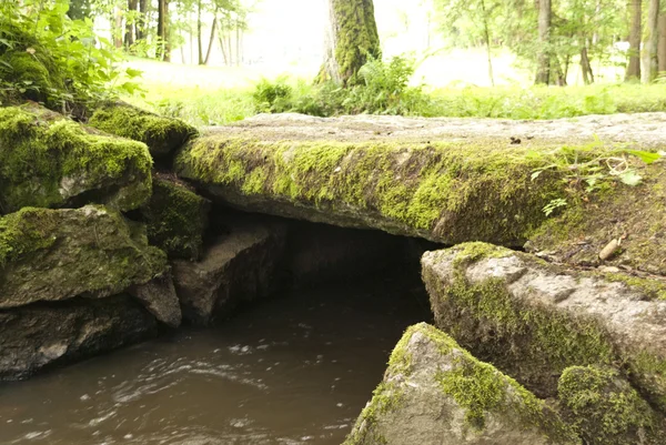 Nature reserve Zsófia — Stock Fotó