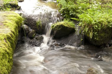 doğa rezerv doost, upper palatinate, Almanya