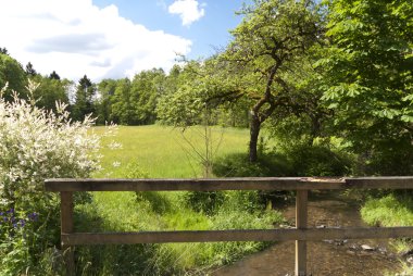 üzerinde hiking trail goldsteig, Almanya