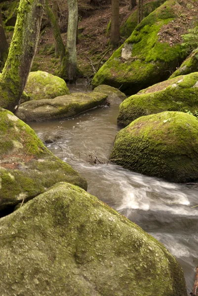 Naturreservatet Doost Övre Pfalz Tyskland — Stockfoto