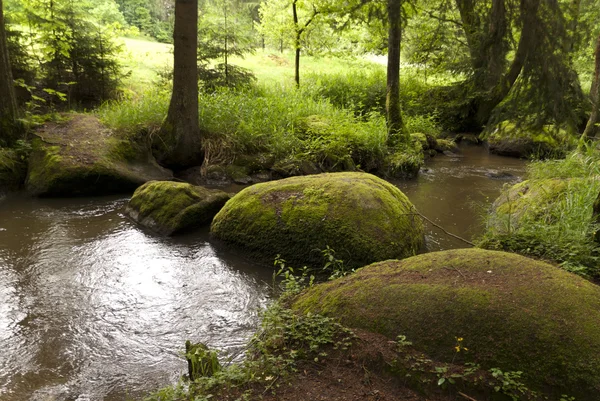 Nature Reserve Doost — Stock Photo, Image