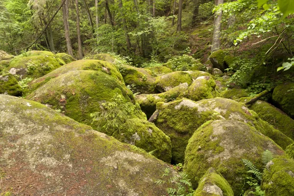 Nature reserve Zsófia — Stock Fotó