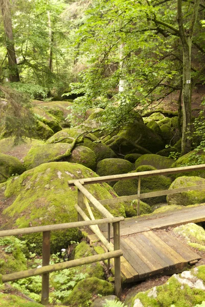 Rezerwat przyrody doost — Zdjęcie stockowe