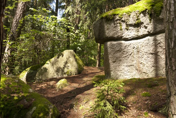 Nature Reserve Doost — Stock Photo, Image