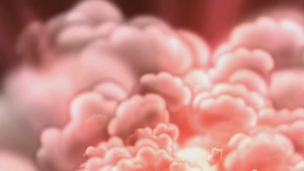 Clouds Animation — Stock Video