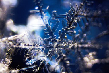 kar kristalleri mikro fotoğraf