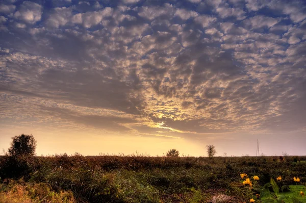 Alba Sulla Baia Ahrenshoop Germania Hdr — Foto Stock