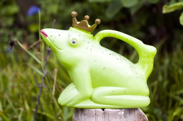 Frog King — Stock Photo, Image