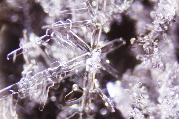 Micro Foto Van Sneeuwkristallen — Stockfoto
