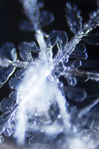 雪晶体的微观照片 — 图库照片