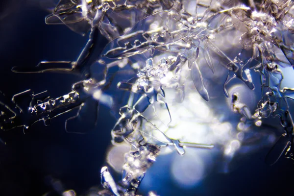 雪晶体的微观照片 — 图库照片