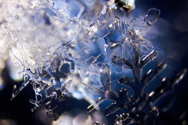 Micro Photo Snow Crystals — Stock Photo, Image