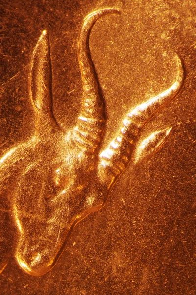 Moneta d'oro — Foto Stock