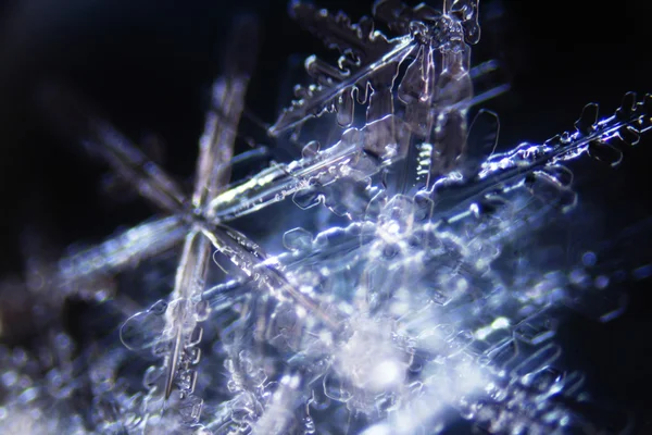 Micro Photo Snow Crystals Royalty Free Stock Images