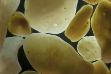 kum tanelerinin mikro fotoğrafçılık