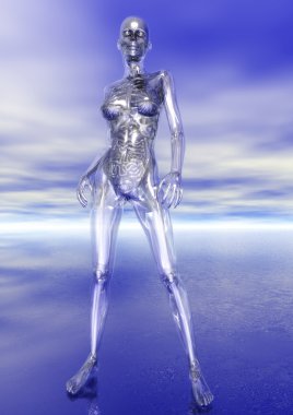 İnsan Anatomisi