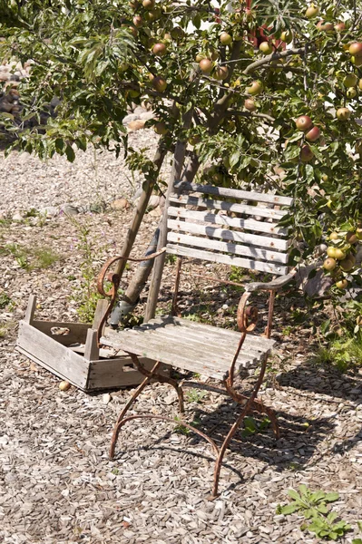 Gartenstuhl — Stockfoto