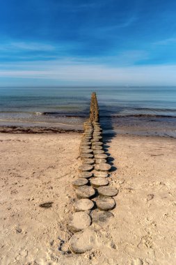 Almanya 'da Darss' ın batı sahilinde.