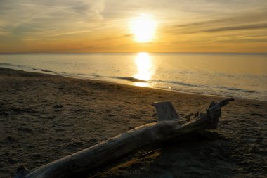 Almanya 'da Ahrenshoop sahilinde gün batımı