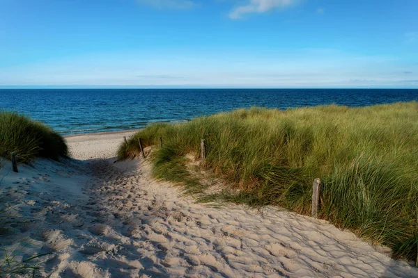 Playa Oeste Darss Alemania — Foto de Stock