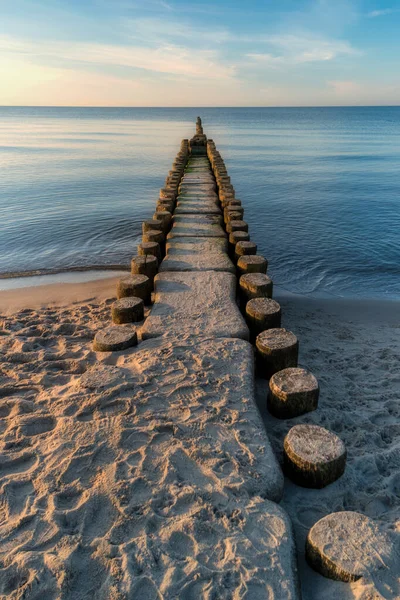 Almanya 'da Darss' ın batı sahilinde.