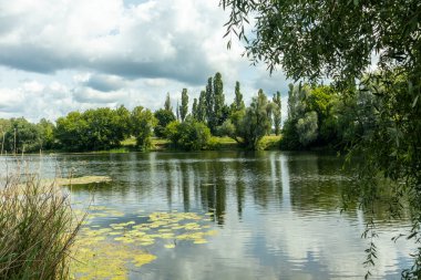 Sonbaharda Psel Nehri.