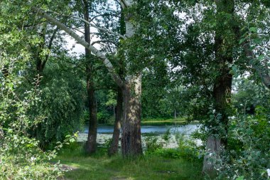 Sonbaharda Psel Nehri.