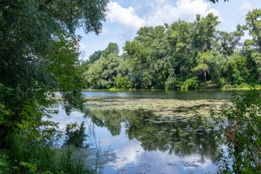 Sonbaharda Psel Nehri.
