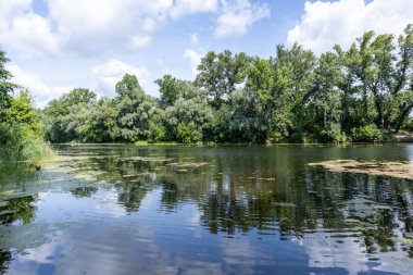 Sonbaharda Psel Nehri.
