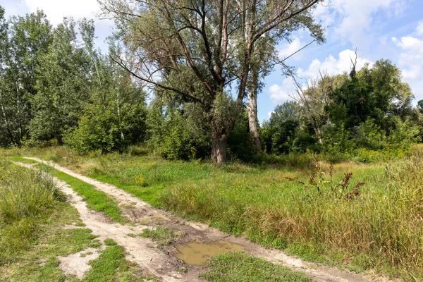 Straße Herbstwald — Stockfoto