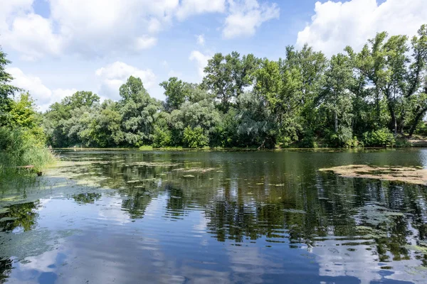 Sonbaharda Psel Nehri.