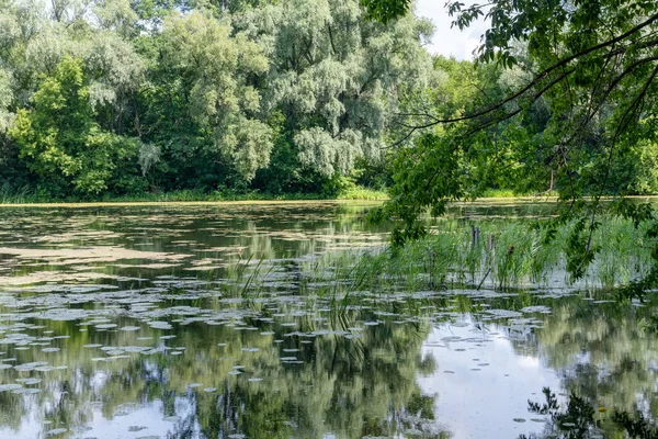 Sonbaharda Psel Nehri.