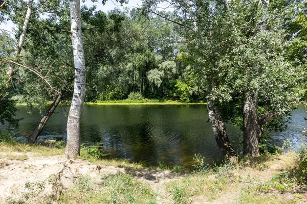 Psel Het Najaar — Stockfoto