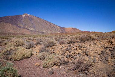 Teide Ulusal Parkı 'ndaki düzlükler açık mavi gökyüzü, Tenerife