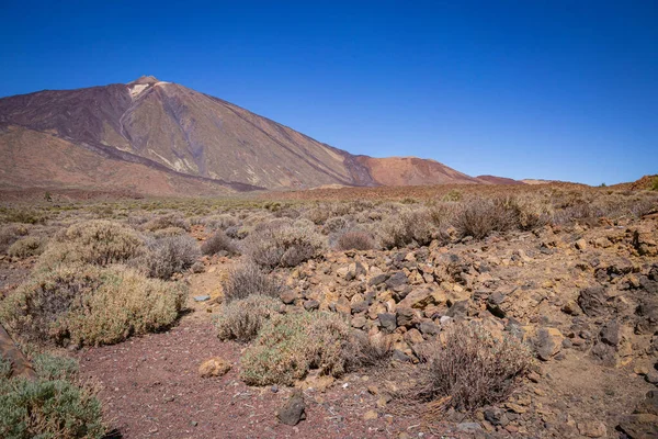 Blick auf die Ebene im Teide Nationalpark mit blauem Himmel, Teneriffa — Stockfoto