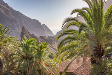 Masca, Tenerife 'deki çatıların manzarası