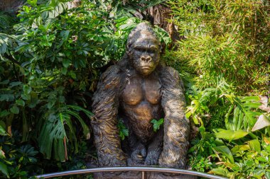 Tenerife 'deki Loro Park girişinde büyük bir bronz goril heykeli var.