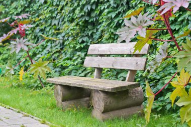 Salonu dinlenme Parkı