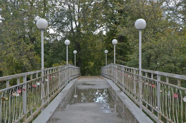 El puente en el parque de descanso — Foto de Stock