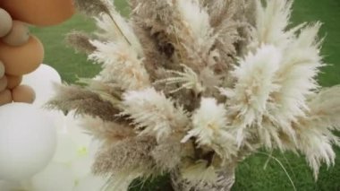 Düğünde bir demet Pampas otu. Düğün dekoru.