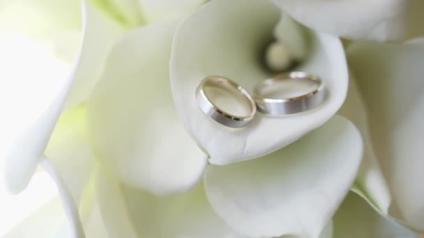 Primer plano de anillos de boda que yacen en el ramo de la boda . — Vídeo de stock
