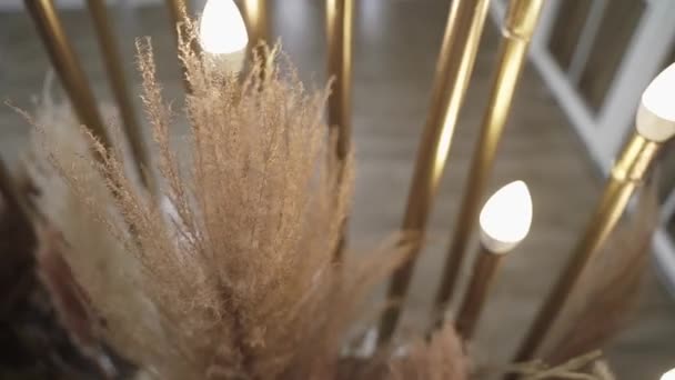 Composition with pampas grass and candles. — Stock Video