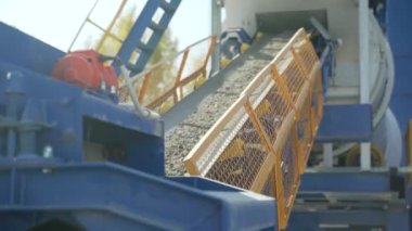 Taş bir bitkinin üzerinde hareket eder.. 