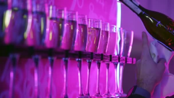 De ober schenkt champagne in glazen, close-up. Handen giet champagne in glazen in het paarse licht — Stockvideo