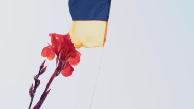 Sri Lanka, Galle 'de Ukrayna barışçıl gösterisi. 24 Mart 2022 - Ukrayna 'ya karşı bir ay süren kanlı Rus savaşı
