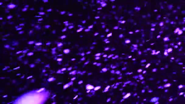 Падаючий сніг у фіолетовому світлі, крупним планом — стокове відео